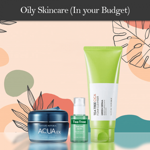 Oily Skincare (In your Budget)